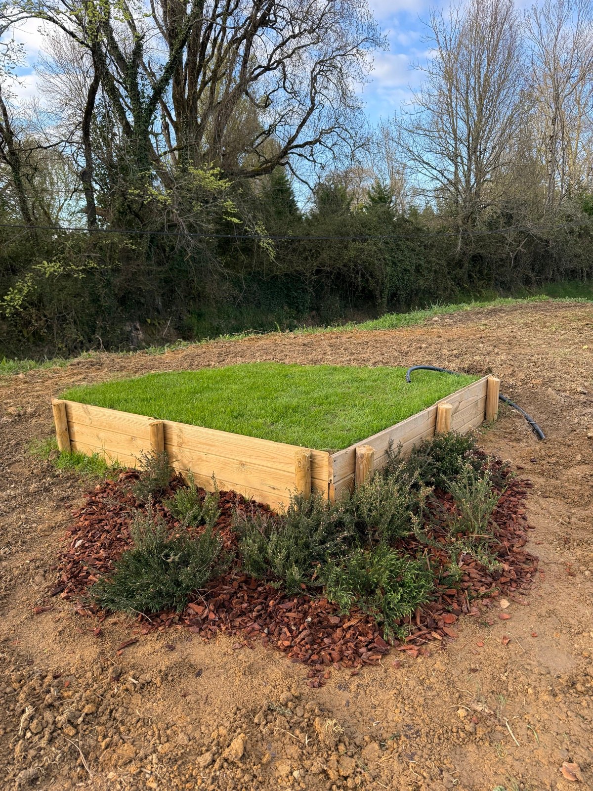 Massif en bois planté en bordure du green